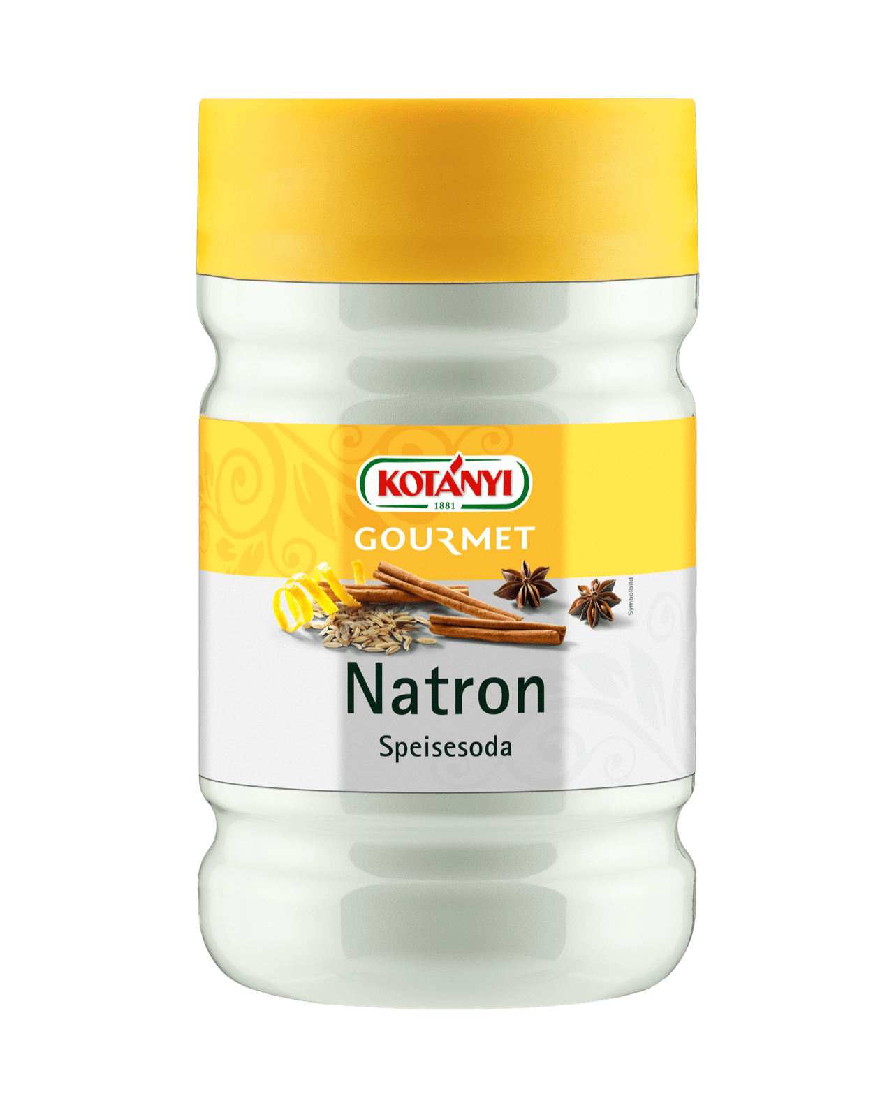 natron bicarbonate of soda
