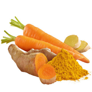 Curcuma mit Karotten und Ingwer