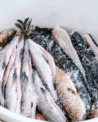 eingesalzene Fische