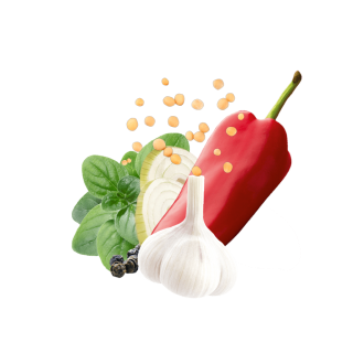 Fajitas Content Hr
