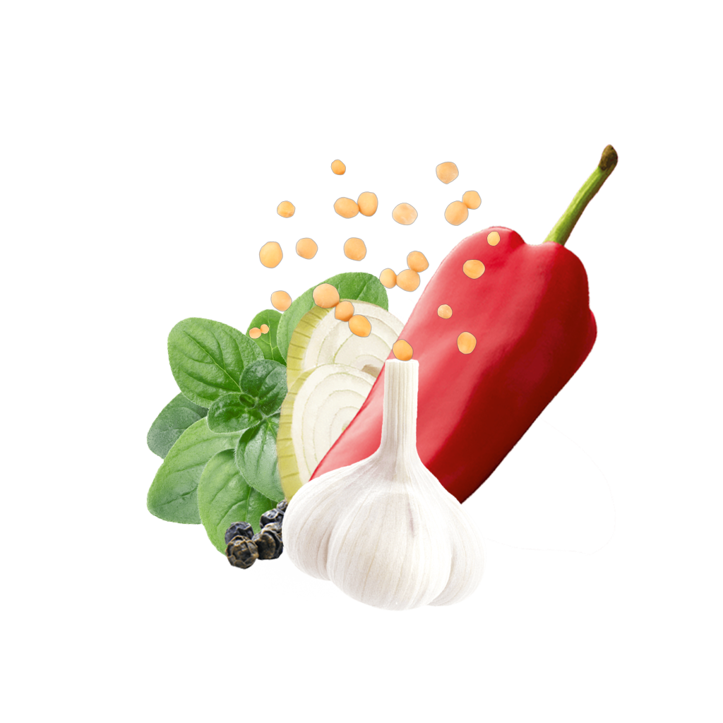 Fajitas Content Hr