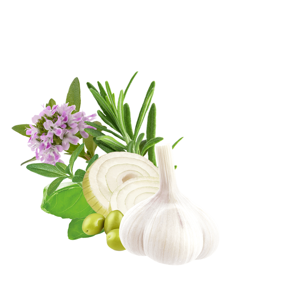 Content Veggies Q&e