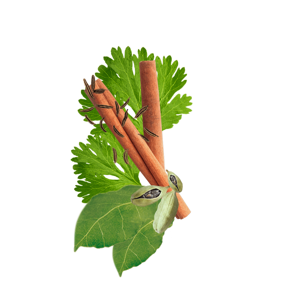 Garam Masala Content Pl
