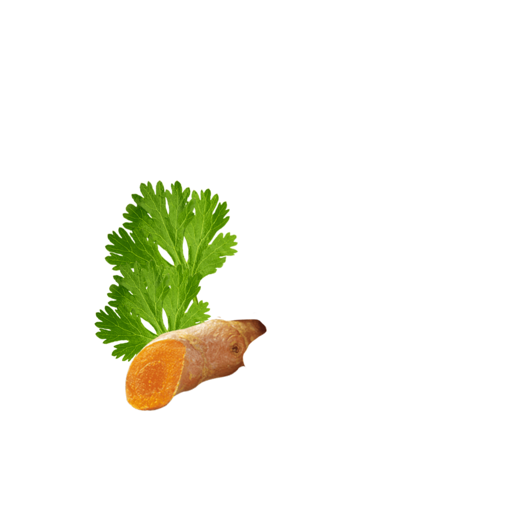 Crispypoh Curry Content