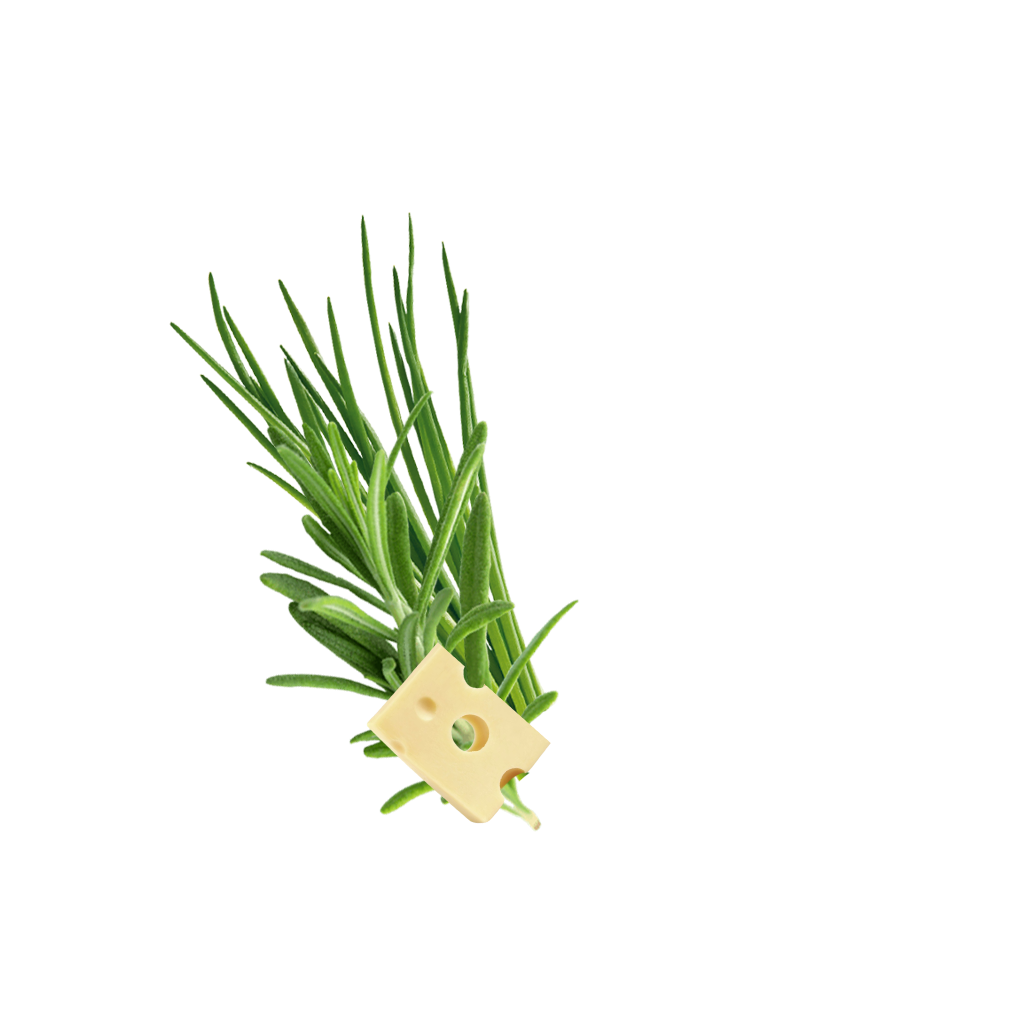 Crispypoh Sir Content